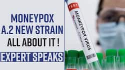 Monkeypox Outbreak: Monkeypox New Strain A.2 Found, Know The Symptoms And Treatment, Expert Talks, Watch Video