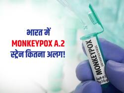 भारत में मंकीपॉक्स के ये स्ट्रेन दूसरे देशों के स्ट्रेन से कितना अलग? UAE से लौटे 2 लोग भी हुए पॉजिटिव