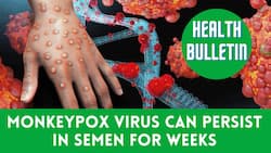 Monkeypox Cases Outbreak: Know How Long The Monkeypox Virus Infection Will Stay In Your Body, Watch Video