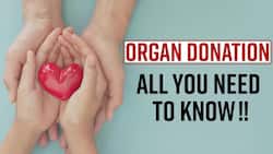 Organ Donation Day: Know The Importance Of Organ Donation From The Expert, Watch Video