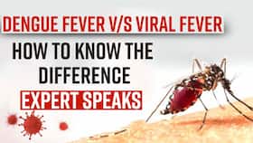 Dengue Alert: How To Differentiate Between Viral Fever & Dengue Fever, Know It From The Expert, Watch Video