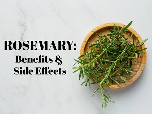 Rosemary: Health Benefits, Uses, Side Effects Of Gulmehendi |  