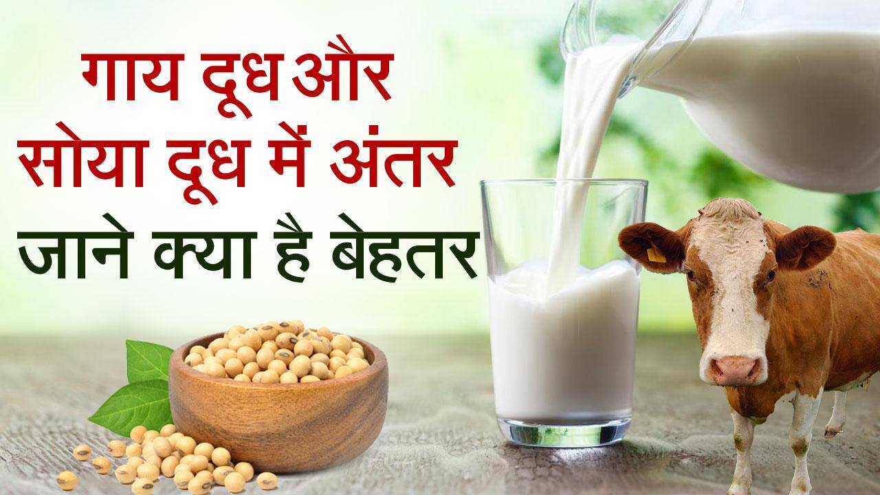 Lumpy Skin पशुओं में बढ़ रहे लंपी स्किन रोग के चलते लोग सोया दूध का