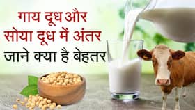 Lumpy Skin: पशुओं में बढ़ रहे लंपी स्किन रोग के चलते लोग सोया दूध का क्यों कर रहे हैं सेवन, Watch Video Lumpy Skin: पशुओं में बढ़ रहे लंपी स्किन रोग के चलते लोग सोया दूध का क्यों कर रहे हैं सेवन, Watch Video
