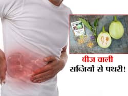 इन सब्जियों के बीज से गुर्दे में बनने लगती है पथरी! गलती से भी सेवन पहले से मौजूद पथरी का बढ़ा सकता है 'साइज'
