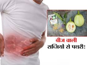 इन सब्जियों के बीज से गुर्दे में बनने लगती है पथरी! गलती से भी सेवन पहले से मौजूद पथरी का बढ़ा सकता है 'साइज' इन सब्जियों के बीज से गुर्दे में बनने लगती है पथरी! गलती से भी सेवन पहले से मौजूद पथरी का बढ़ा सकता है 'साइज'
