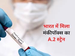 भारत में मिले मंकीपॉक्स A.2 स्ट्रेन के 2 मामले,