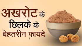 Benefits Of Walnut: त्वचा को चमकदार बनाने के लिए लगाएं अखरोट के छिलके का पाउडर, जानें इस्तेमाल का सही तरीका, Watch Video