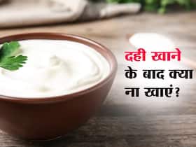 दही खाने के बाद भूल कर भी ना करें इन 5 चीजों का सेवन, ट्रिगर कर सकता सोरायसिस और पेट का इंफेक्शन