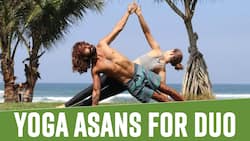 Yoga Asanas: Easy Yoga Asanas That Friends Can Do Together, Watch Video