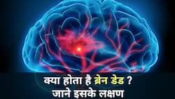 Brain Dead: ब्रेन डेड में मरीज़ के कौन-कौन से ऑर्गन काम करते हैं डॉक्टर से जानें पूरी जानकारी, Watch Video
