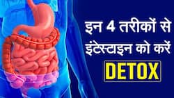 अपनी इंटेस्टाइन को साफ और पाचन तंत्र दुरुस्त करने के लिए अपनाएं ये 4 तरीके, Watch Video