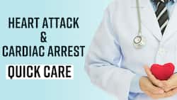 Heart Attack & Cardiac Arrest: Immediate Care For Heart Problems Like Heart Attack & Cardiac, Expert Speaks, Watch Video