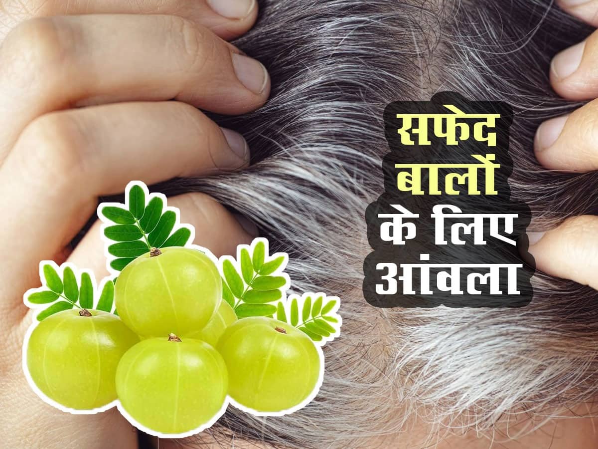 सफेद बालों के लिए आंवला सफेद बालों के लिए इन 5 तरीकों से इस्तेमाल करें