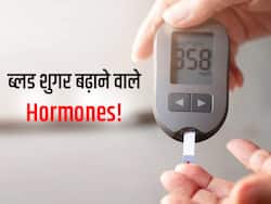 शरीर में इन 5 हार्मोन की वजह से बढ़ने लगता Blood Sugar! जानें कौन से हार्मोन ब्लड ग्लूकोज पर करते हैं 'अटैक'