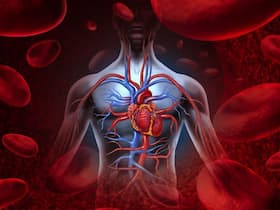 ब्लड सर्कुलेशन का ठीक रहना क्यों जरूरी है, जानिए खराब Blood Circulation के कारण, लक्षण और ठीक करने के उपाय