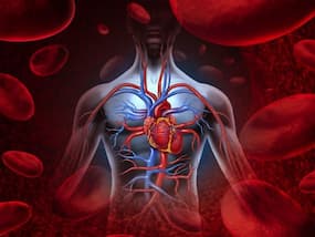 ब्लड सर्कुलेशन का ठीक रहना क्यों जरूरी है, जानिए खराब Blood Circulation के कारण, लक्षण और ठीक करने के उपाय