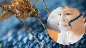 Sudden Drop In Oxygen Levels Among Children Infected With Dengue In West Bengal Worries Doctors