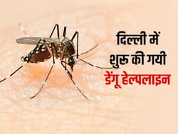दिल्ली वालों के लिए जरूरी खबर, आपके इलाके में मिले डेंगू का केस तो करें इन नंबर्स पर फोन, नयी हेल्पलाइन शुरू