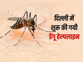 दिल्ली वालों के लिए जरूरी खबर, आपके इलाके में मिले डेंगू का केस तो करें इन नंबर्स पर फोन, नयी हेल्पलाइन शुरू