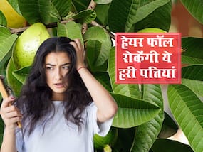 हेयर फॉल से परेशान लोग ना लगाएं महंगे शैम्पू-तेल, इस पेड़ की हरी पत्तियां ही काफी हैं, जानें इस्तेमाल का तरीका