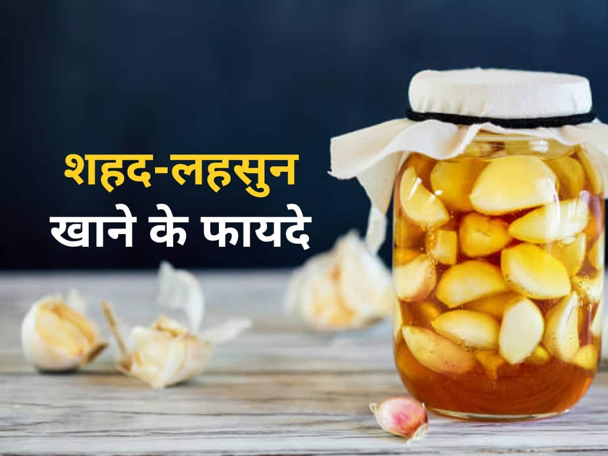 शहद और लहसुन एक साथ खाने के फायदे हिंदी