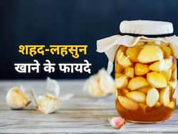 शहद और लहसुन एक साथ खाने के फायदे