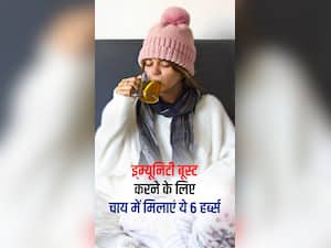 इ्म्यूनिटी बूस्ट करने के लिए चाय में मिलाएं ये 6 हर्ब्स