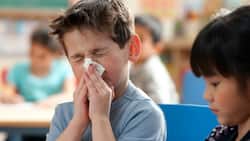 Influenza Cases On The Rise In India: Puducherry Shuts Schools For Classes 1-8