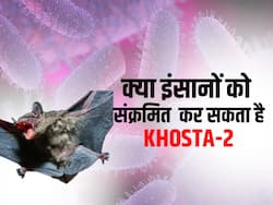 चमगादड़ों में मिला कोरोना जैसा वायरस, वैज्ञानिकों ने कहा इंसानों के लिए बन सकता है बड़ा खतरा, वैक्सीन भी बेअसर