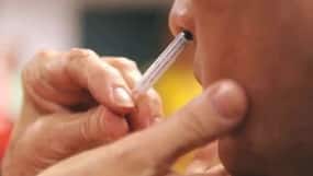 India   s First Nasal Covid Vaccine By Bharat Biotech Gets DCGI Nod For Emergency Use