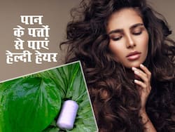 पान के पत्ते का मास्क है Hair Fall से बचने का आजमाया हुआ नुस्खा, जानें इस्तेमाल के तरीके
