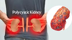 Polycystic Kidney: 10 Signs You May Have Chronic Kidney Disease
