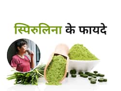 डायबिटीज में स्पिरुलिना के सेवन के फायदे और सेवन का तरीका