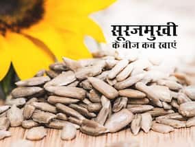 गाउट और एनीमिया जैसी इन 5 समस्याओं में खाएं सूरजमुखी के बीज, जानें इसे खाने का सही तरीका