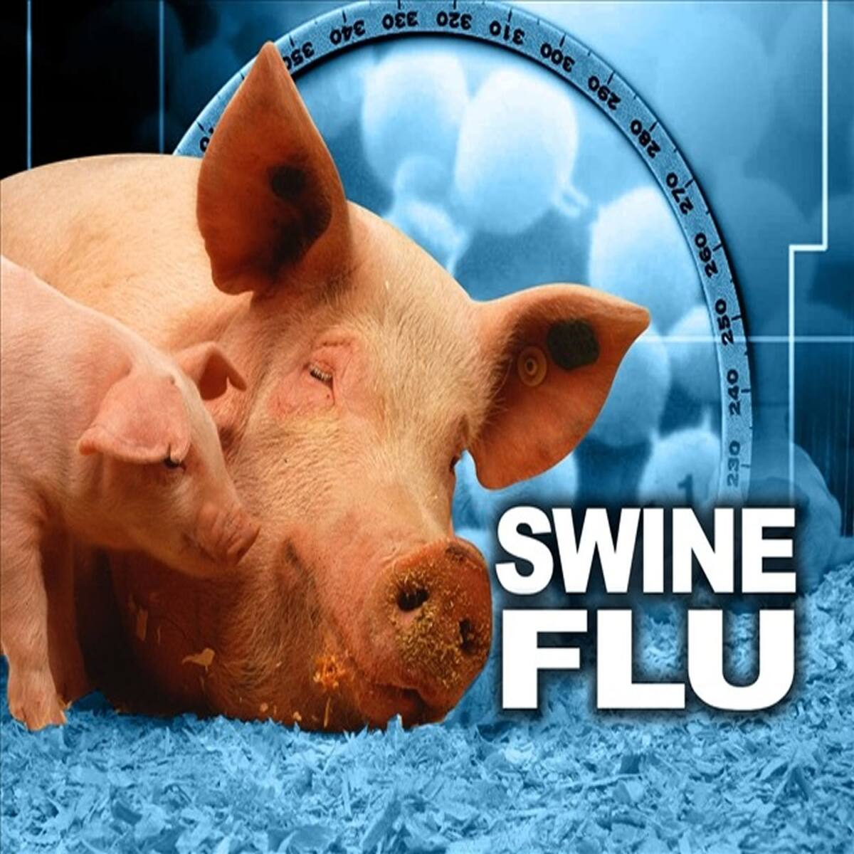 Runny Nose And 5 Other Warning Symptoms of Swine Flu