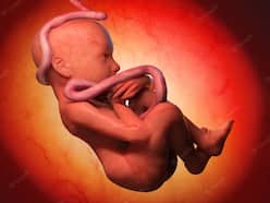 Fertility Treatments: Children Born After Frozen-Thawed Embryo Transfer May Have Higher Cancer Risk