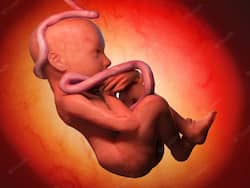 Fertility Treatments: Children Born After Frozen-Thawed Embryo Transfer May Have Higher Cancer Risk