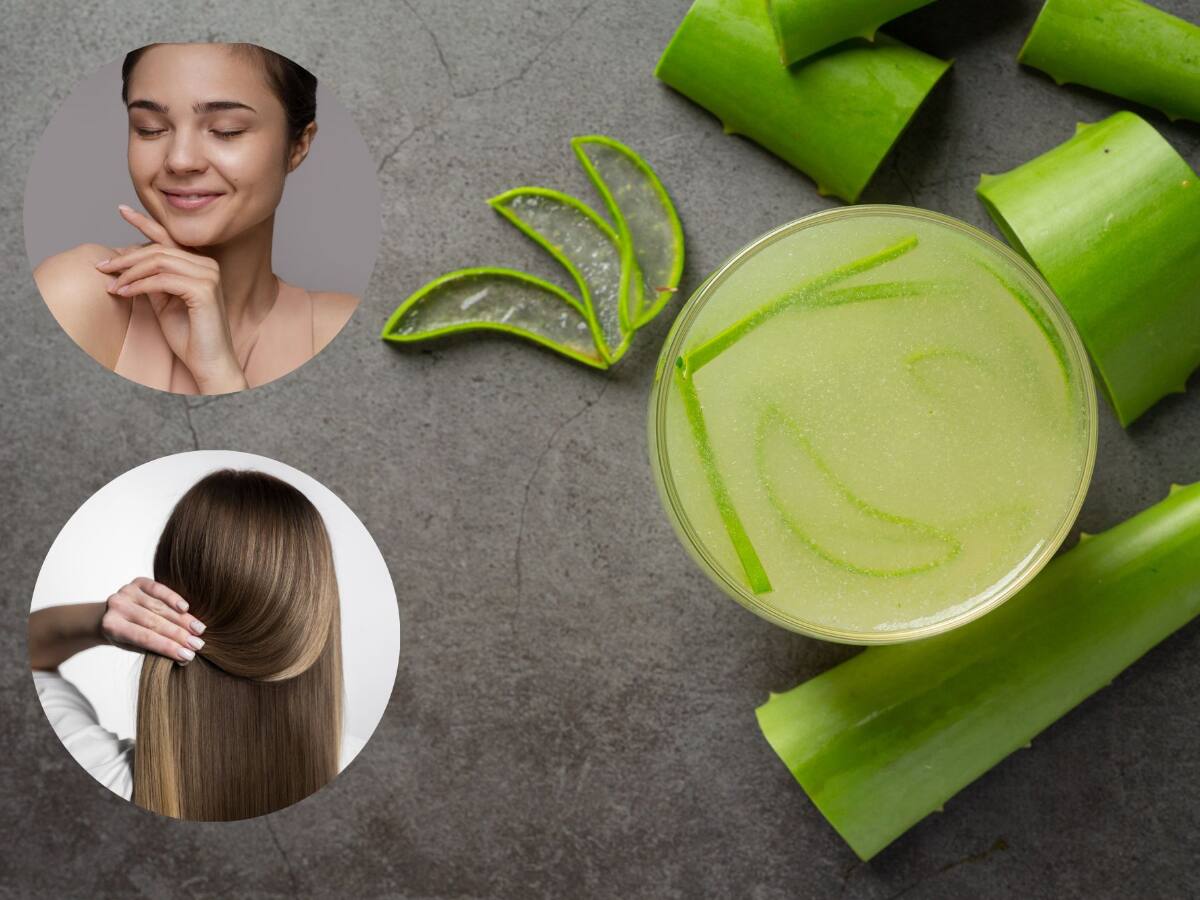 Add The Goodness Of Miraculous Aloe Vera Gel In Your Beauty Regimen |  