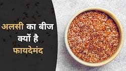 Benefits Of Flax Seeds: अलसी के बीज आपको दिन भर रखेंगे एक्टिव, ऐसे करें सेवन, Watch Video