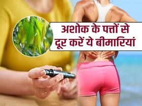 डायबिटीज हो या स्किन डिजीज! घर में लगे इस पेड़ के पत्ते से दूर होंगी 5 बीमारियां, बस जान ले इस्तेमाल का सही तरीका डायबिटीज हो या स्किन डिजीज! घर में लगे इस पेड़ के पत्ते से दूर होंगी 5 बीमारियां, बस जान ले इस्तेमाल का सही तरीका