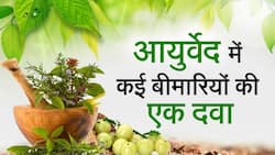 Ayurvedic Medicine: рдЖрдпреБрд╖ 64 рд╣реИ рдХрдИ рдмреАрдорд╛рд░рд┐рдпреЛрдВ рдХреА рд░рд╛рдордмрд╛рдг рджрд╡рд╛, рдЬрд╛рдиреЗ рдЗрд╕реЗ рд▓реЗрдиреЗ рдХрд╛ рд╕рд╣реА рддрд░реАрдХрд╛, Watch Video