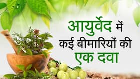 Ayurvedic Medicine: आयुष 64 है कई बीमारियों की रामबाण दवा, जाने इसे लेने का सही तरीका, Watch Video