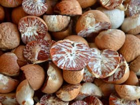 Betel Nut: Health Benefits, Precautions And Side Effects Of Supari