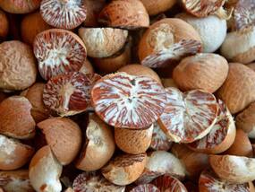 Betel Nut: Health Benefits, Precautions And Side Effects Of Supari