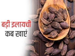 बड़ी इलायची की तासीर कैसी होती है? जानें 5 समस्याएं जिनमें इसे खाना है फायदेमंद