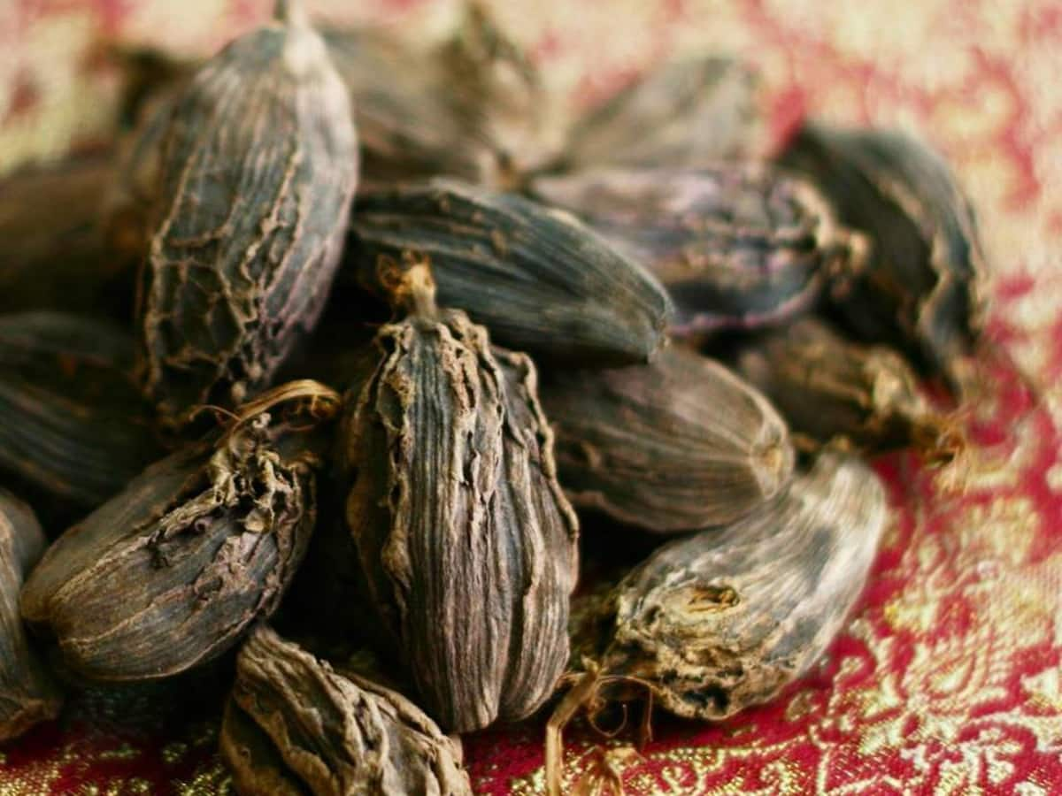 Black Cardamom: Health Benefits, Precautions And Side, 42% OFF