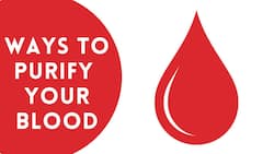 Blood Purification: Know The 5 Easiest Way To Purify Your Blood Naturally, Watch Video