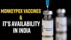 Monkeypox Vaccine On Hold In India: Alternatives Of Monkeypox Vaccine In India, Expert Speaks, Watch Video