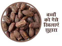 छोटे बच्चे को इन 3 तरह से खिलाएं छुहारा, बिस्तर पर पेशाब करने जैसी इन समस्याओं का है रामबाण इलाज